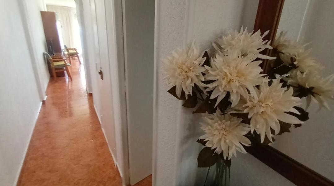 Apartamento Acapulco Luxe Piso 3 En 1A Linea Playa Poniente Benidorm Top Vistas Al Mar Espectaculares Y De Luxe Con Acceso A Piscina Y Garaje Privado Esterno foto