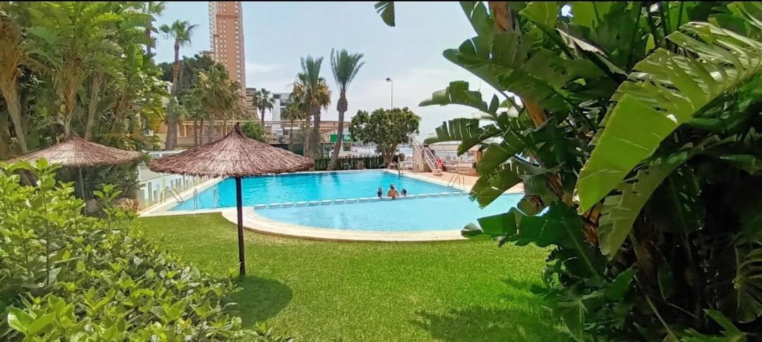Apartamento Acapulco Luxe Piso 3 En 1A Linea Playa Poniente Benidorm Top Vistas Al Mar Espectaculares Y De Luxe Con Acceso A Piscina Y Garaje Privado Esterno foto